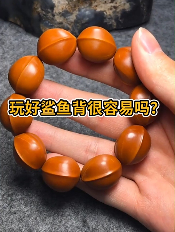 橄榄核鲨鱼背看起来简单,随意盘就可以吗?