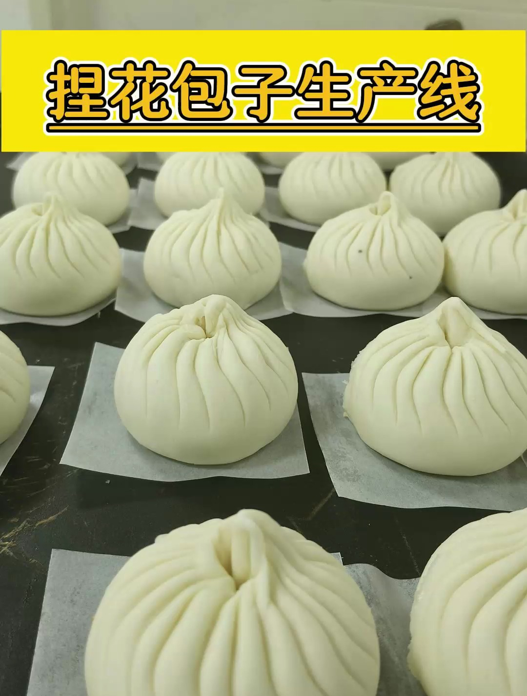 小型包子加工厂用全自动速冻生胚包生产流水线,麻雀虽小五脏俱全