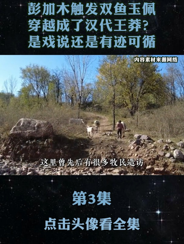 彭加木真的穿越成了王莽传说中的双鱼玉佩是否真的存在