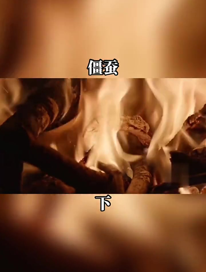 僵蚕的古法炮制技艺僵蚕