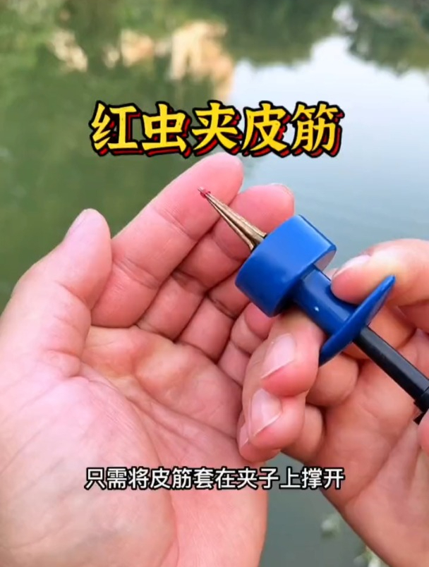 让大板鲫流口水的红虫挂钩方法,学会的点赞收藏