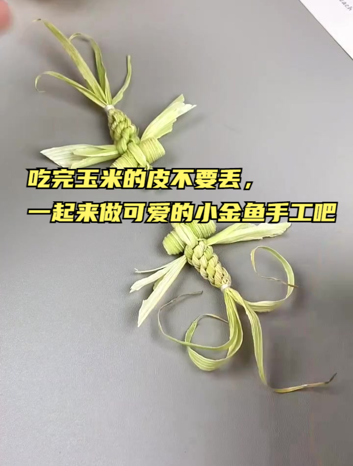 吃完玉米的皮不要丢,一起来做可爱的小金鱼手工吧