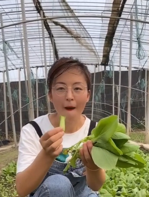 一年四季都能种还能抗癌细胞的“鸡毛菜”,农村老人抢着挖!