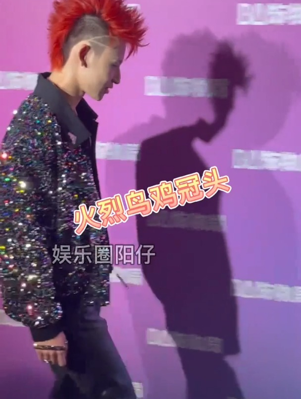 王琳凯 鸡冠头好帅气