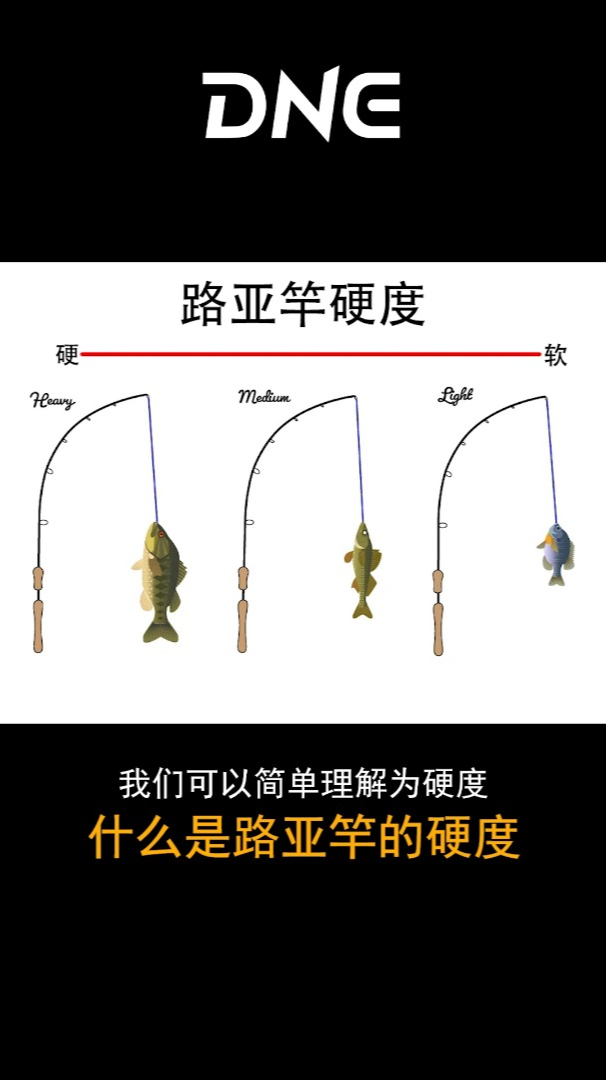 DNE去路亚小知识—什么是路亚竿的硬度?