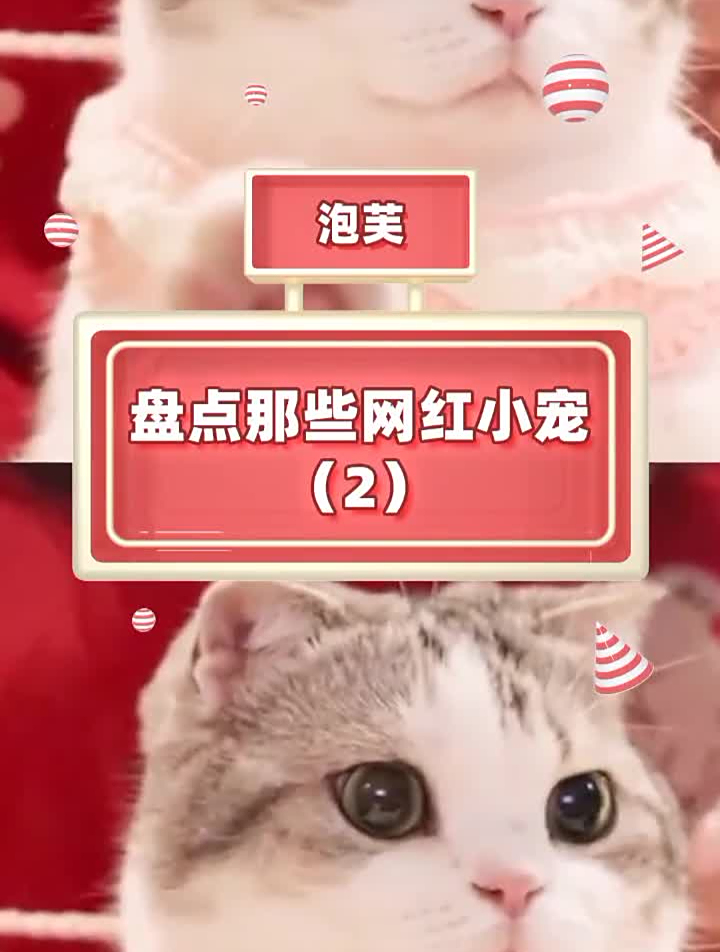 香香软软的小泡芙泡芙猫咪