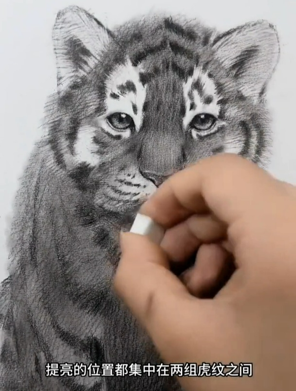 超详细的小老虎素描画法详解