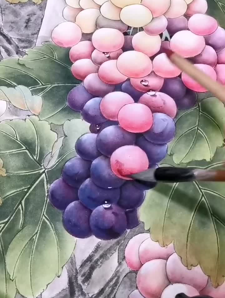 你们要的葡萄绘画过程工笔国画