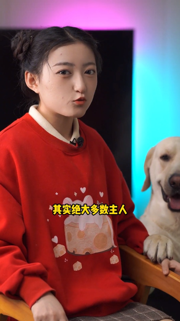 适合狗狗吃的蔬菜,你给狗狗吃过哪些呢