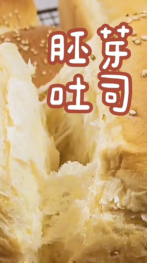 这么好吃的吐司。瞬间对胚芽吐司移情别恋,我宣布,小麦胚芽就是我的新宠。健康美味!