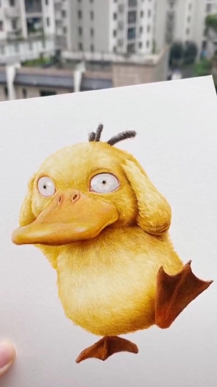 彩铅笔下的小鸭子,超级萌