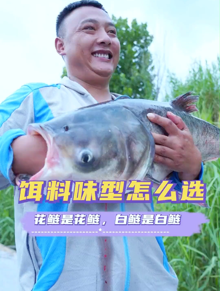 作钓大个体花鲢和白鲢,饵料味型有什么区别
