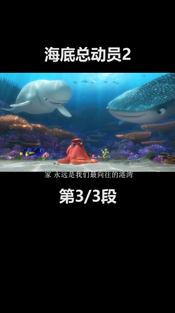 海底总动员2:多莉去哪儿 一部充满情感和哲理的亲子定义动画电影
