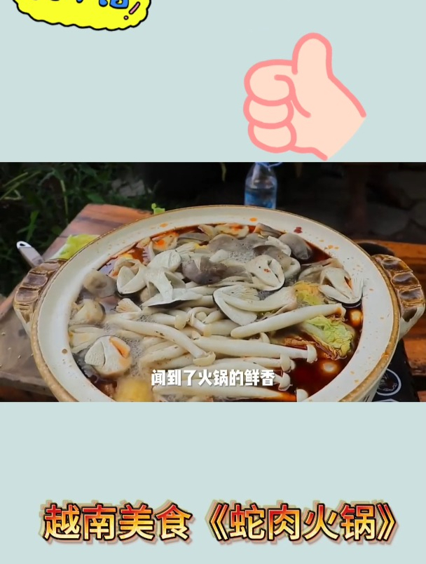 越南美食《蛇肉火锅》4