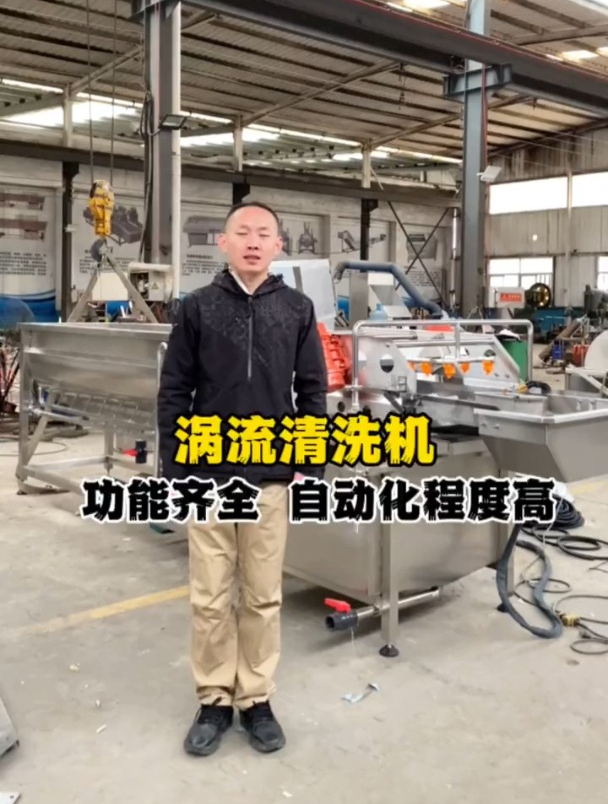 净菜加工涡流清洗机 气泡冲浪翻滚清洗机 全自动净菜生产线厂家