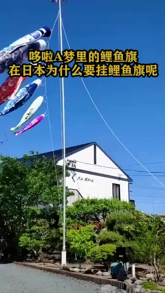多啦A梦里的鲤鱼旗在日本为什么要挂鲤鱼旗呢