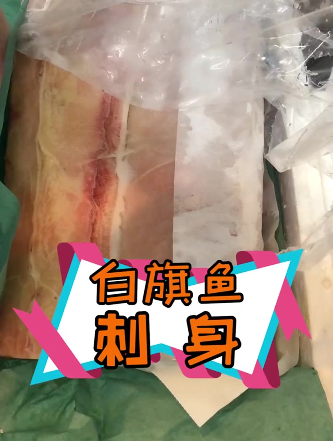 白旗鱼!就是那种长了个长长的嘴,游的速度特别快的家伙!