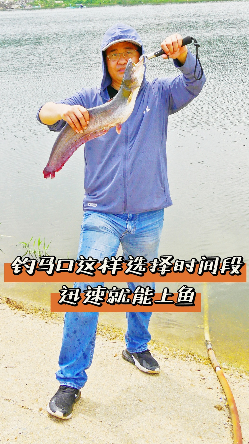 钓马口这样选择时间段,才能快速上鱼