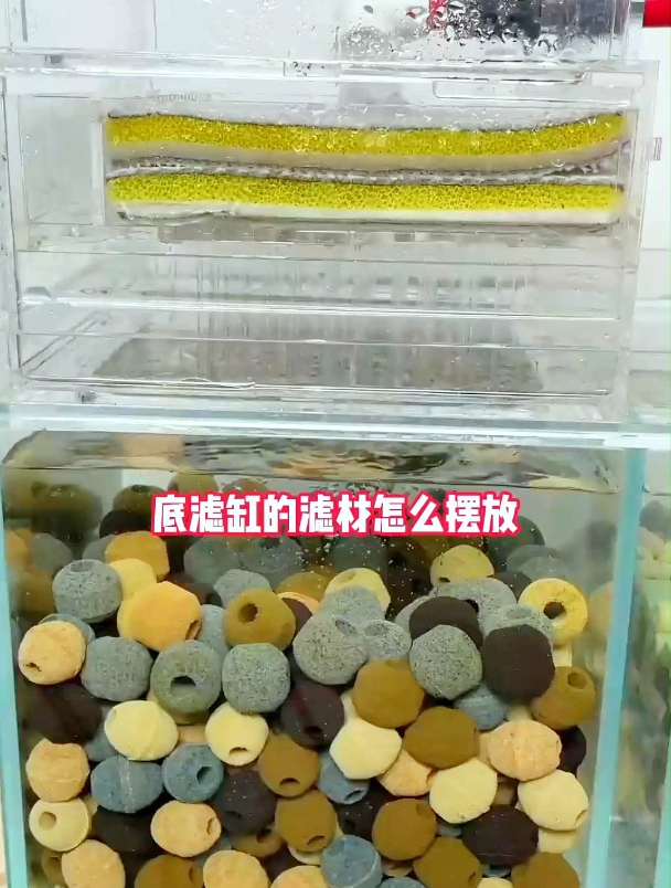 想要水清鱼靓底滤缸滤材摆放顺序你做对了吗?浅谈底滤滤材摆放