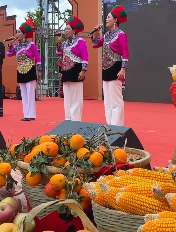 曲靖马龙2023“金秋丰收美食节”盛大启幕,特色美食等你来品尝