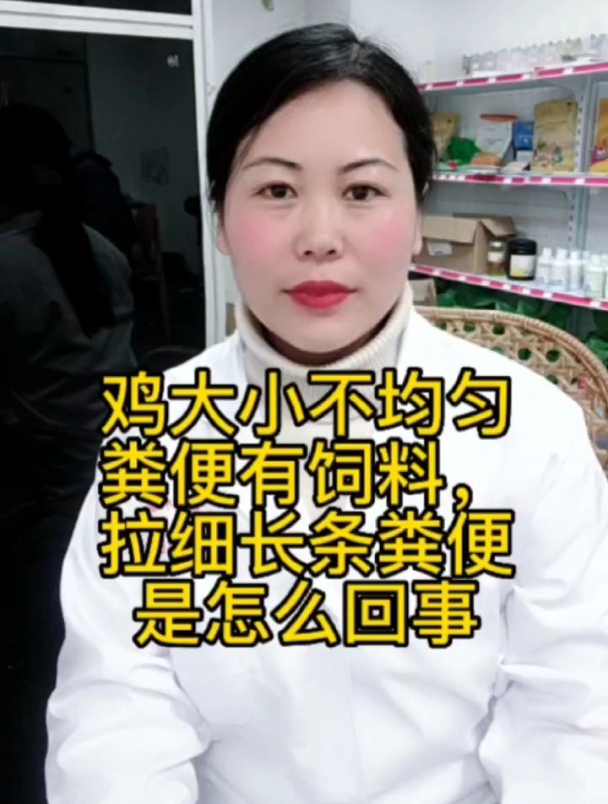 鸡大小不均匀,粪便过料是怎么回事