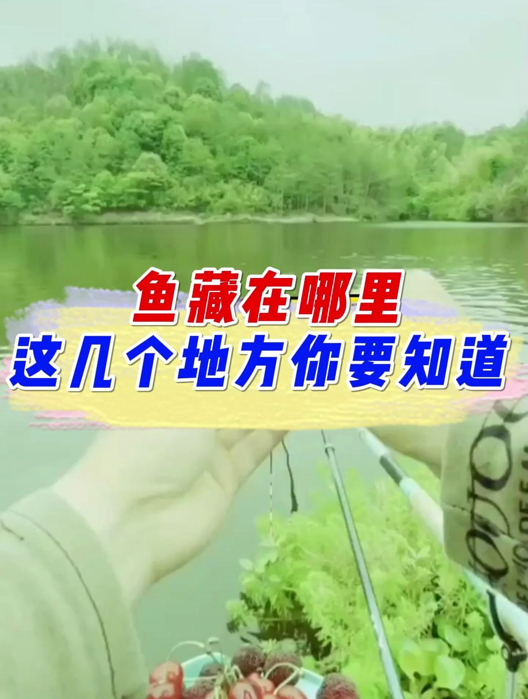 鱼藏在哪里,这几个地方你要知道
