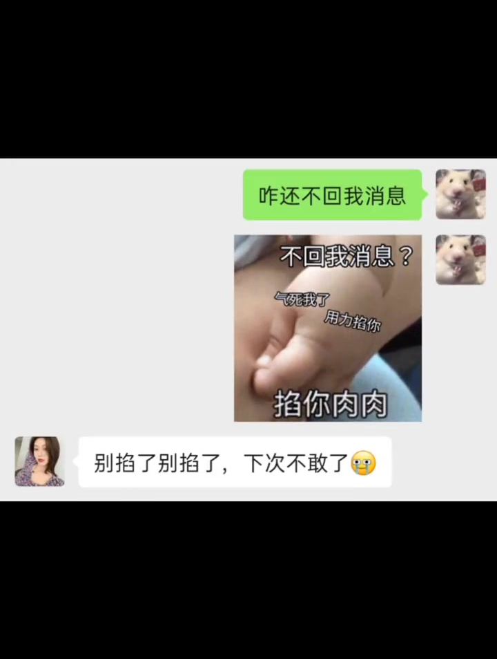 表情包 每帧都是表情包