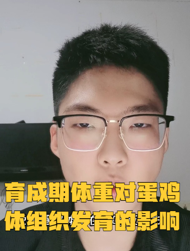育成期体重对蛋鸡体组织发育的影响