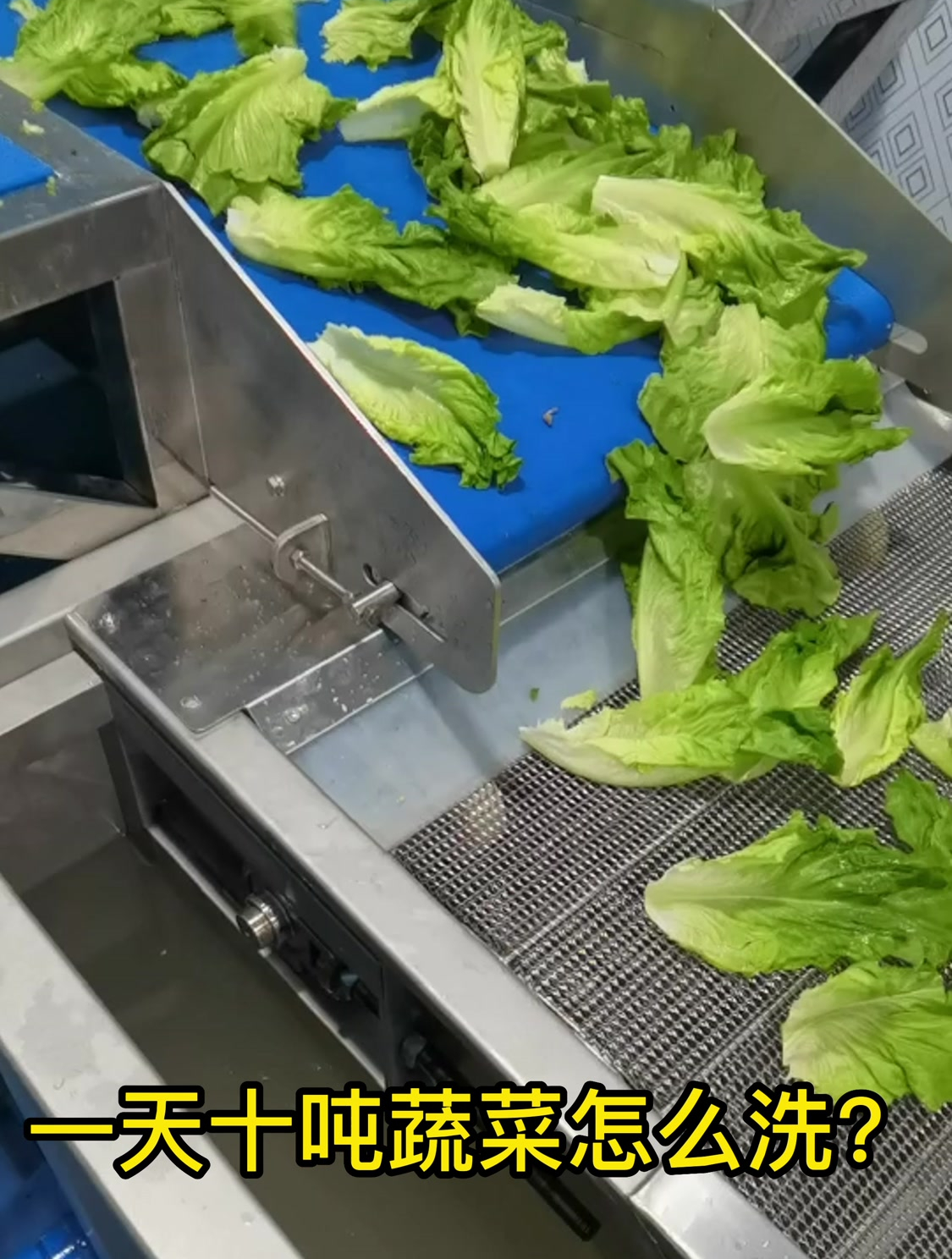 一天十吨蔬菜怎么洗?分拣-去渣-清洗-杀菌——风干-脱水两分钟搞掂