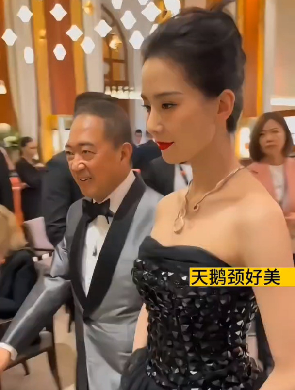 刘诗诗天鹅颈太美了,气质女神