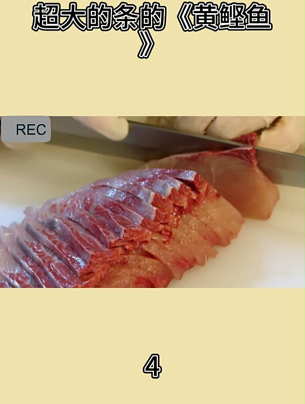 超大的条的《黄鲣鱼》4