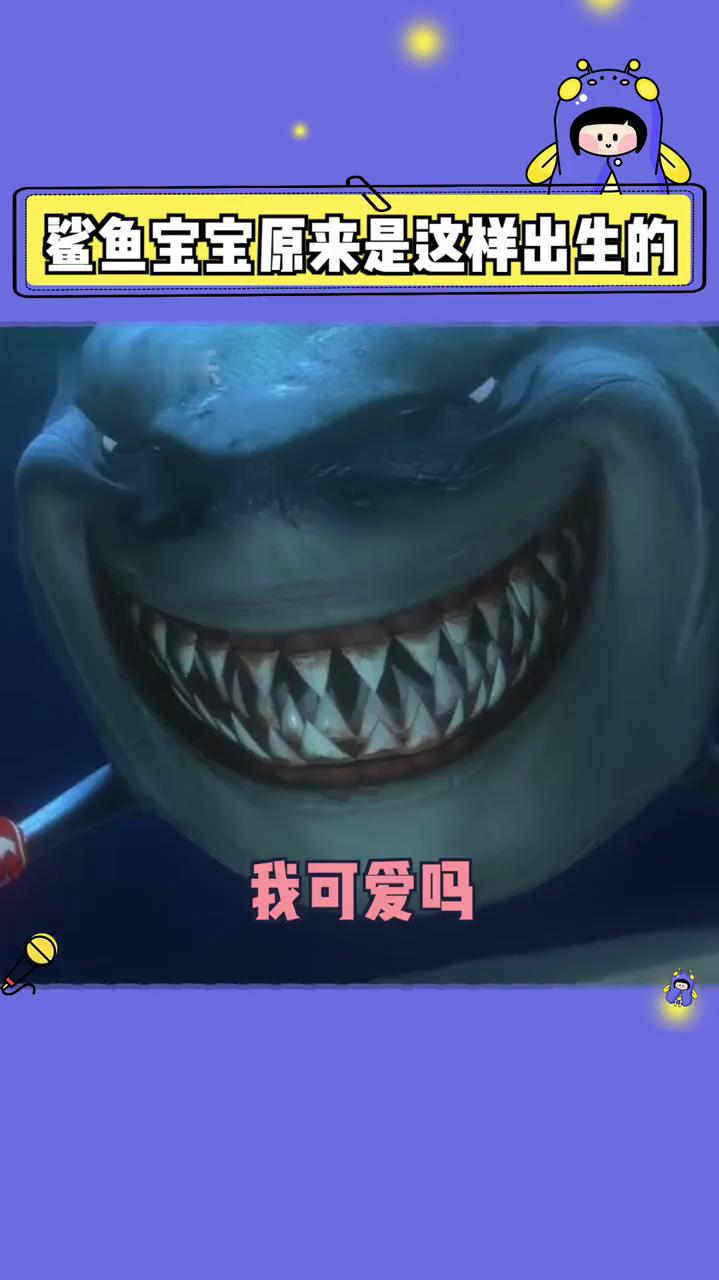 冷知识get到了啦!原来鲨鱼宝宝是这么出生的啊,真的好可爱啊!