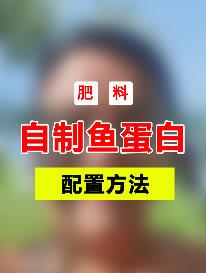 自制鱼蛋白真的既好用又经济实惠,配置方法分享给你