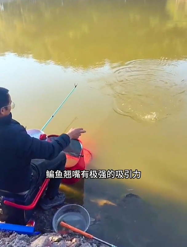 号称比蚯蚓红虫上鱼还快的佳尼钓虾饵,真实鱼获如何?