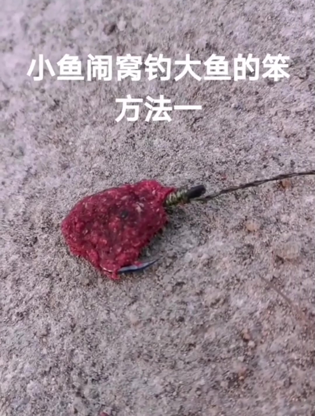 小鱼闹窝钓大鱼的方法,学会这招再也不怕掉不到大鱼了,满载而归