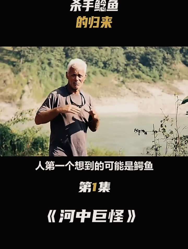 河中巨怪 坦克鸭嘴鲶
