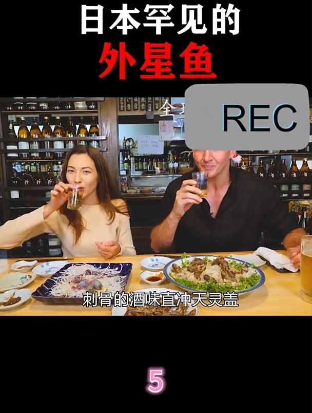 日本罕见的外星鱼5
