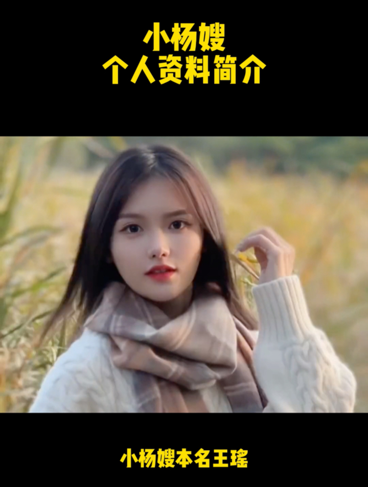小杨嫂个人资料简介