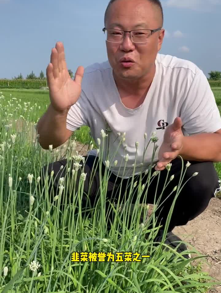 韭菜根给大家准备好了!喜欢的可以去拍了!