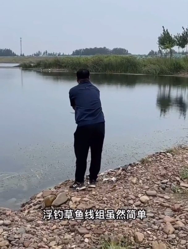 钓草鱼用什么效果最好?老钓友:一片芦苇叶就够了!