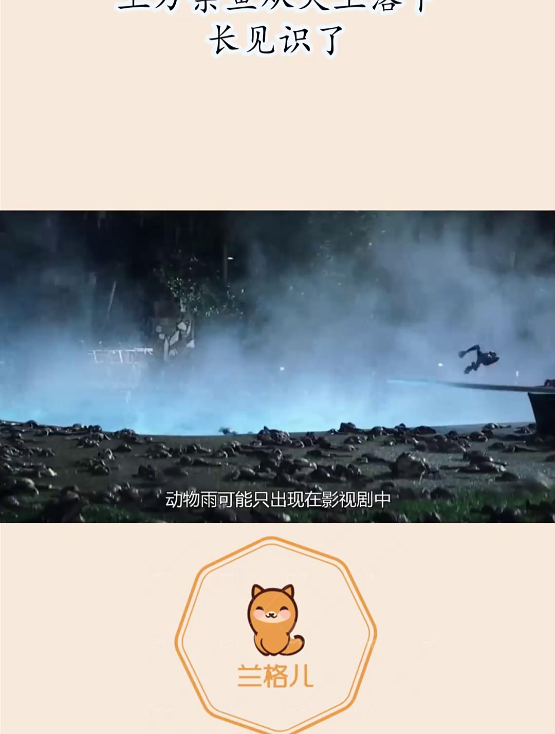 “动物雨”是什么?上万条鱼从天上落下,长见识了