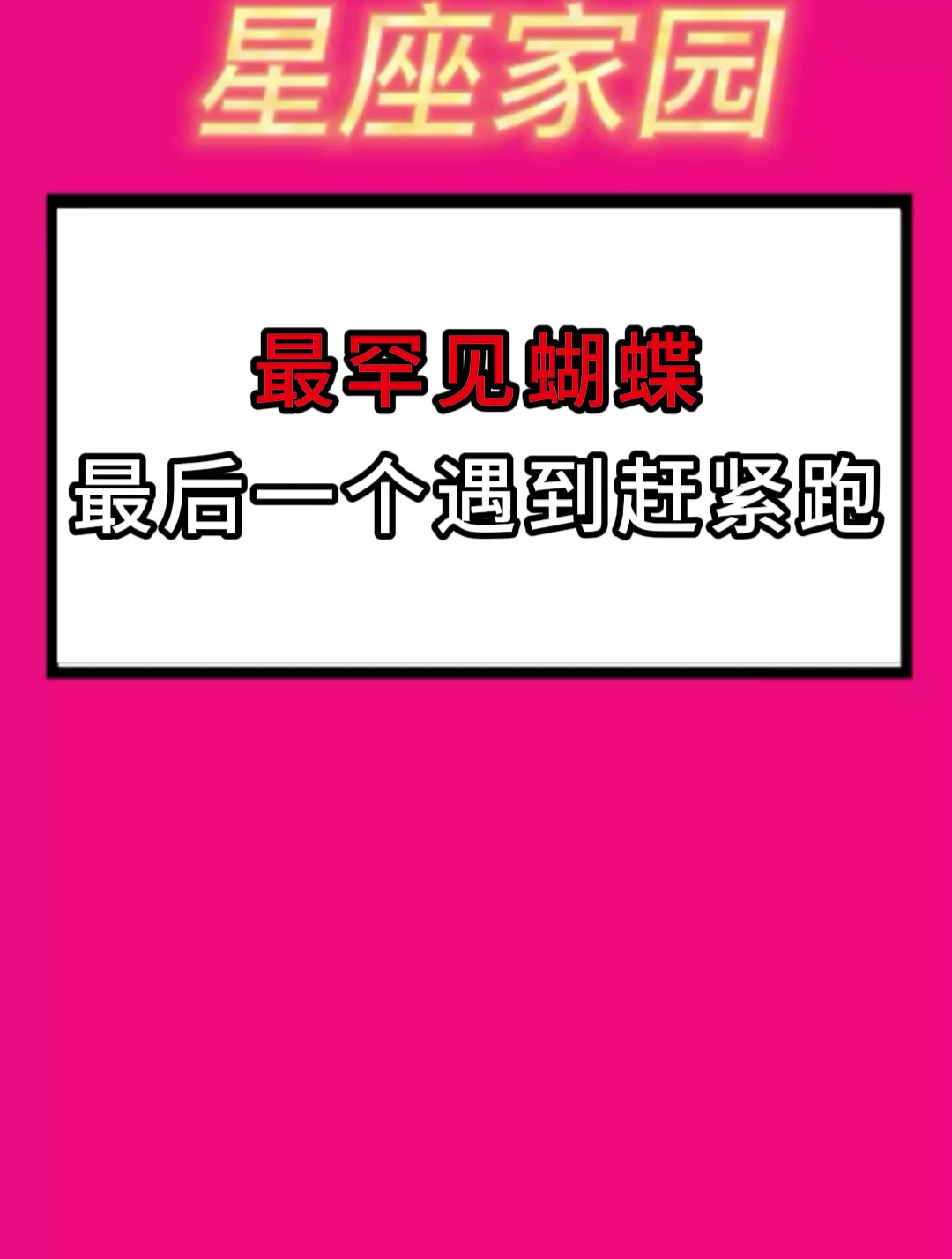 最罕见蝴蝶 最后一个遇到赶紧跑