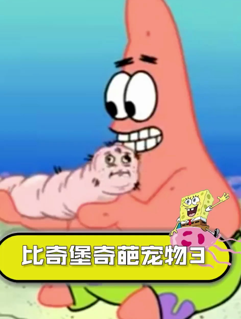 小海绵的新宠物下崽了 没想到最后还是个宝贝