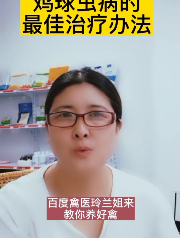 鸡球虫病的最佳治疗办法鸡得了球虫病怎么治