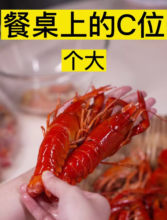 现在蓝龙虾市场火爆,越来越受大家欢迎了!