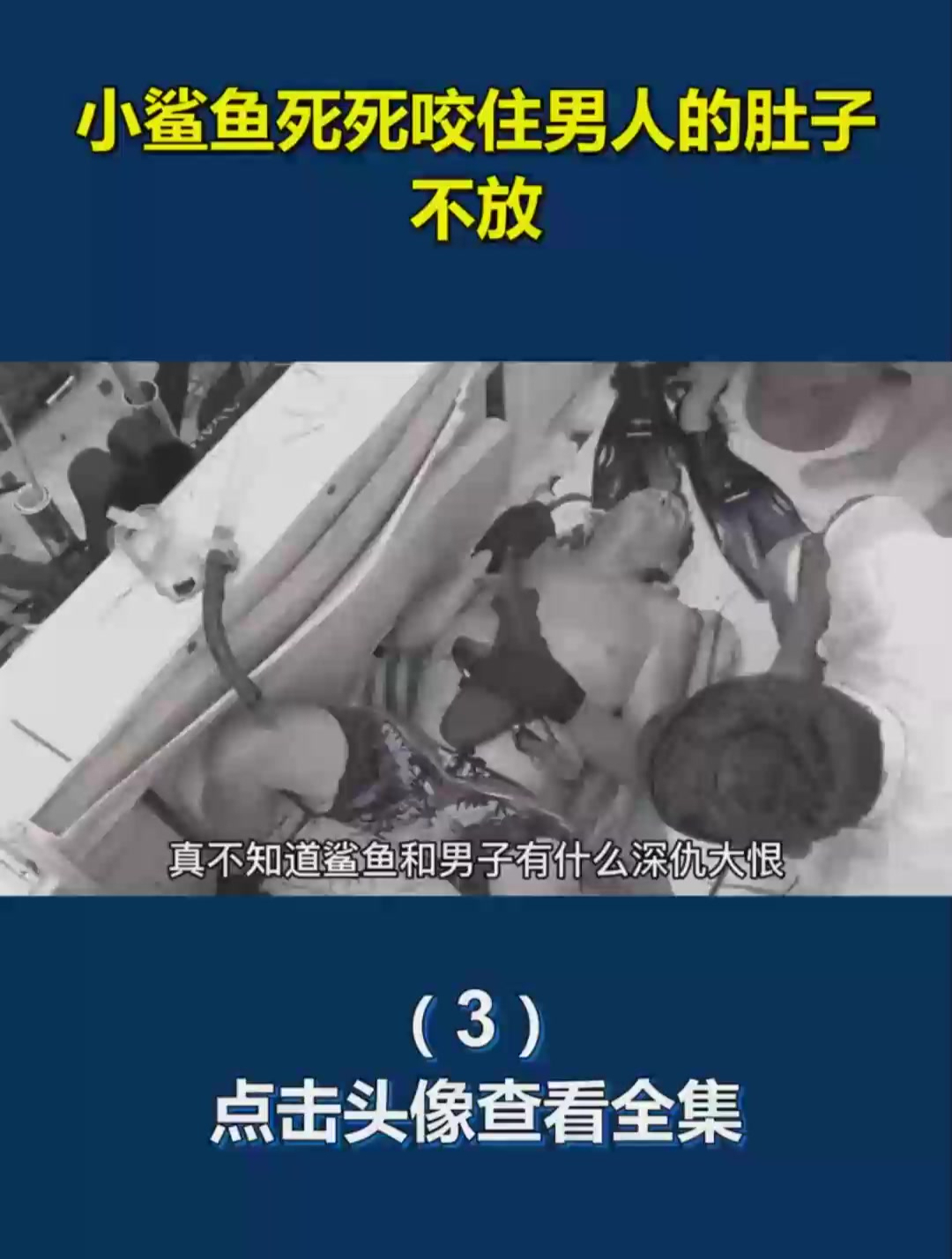 小鲨鱼死死咬住男人的肚子不放3