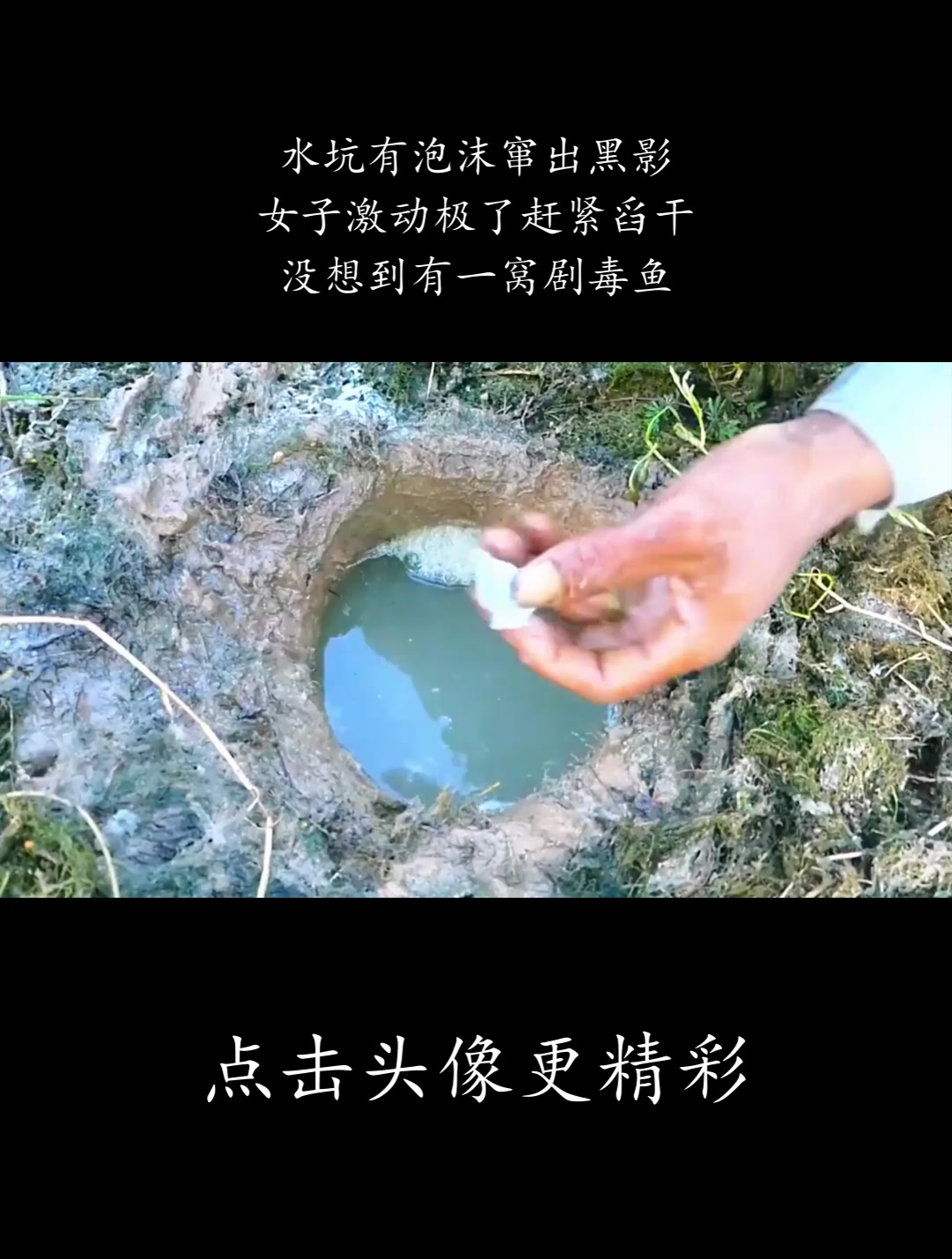 水坑有泡沫窜出黑影,女子激动极了赶紧舀干,没想到有一窝剧毒鱼