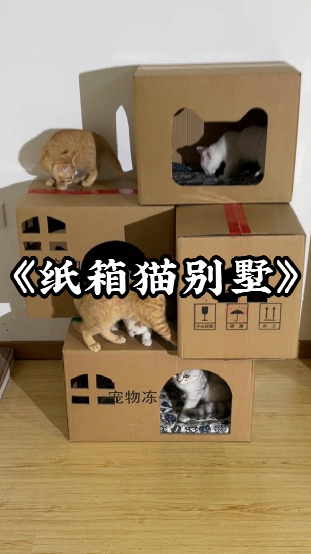 买什么猫窝 猫柜 猫笼子 猫爬架呀,自制猫房子,宠物窝