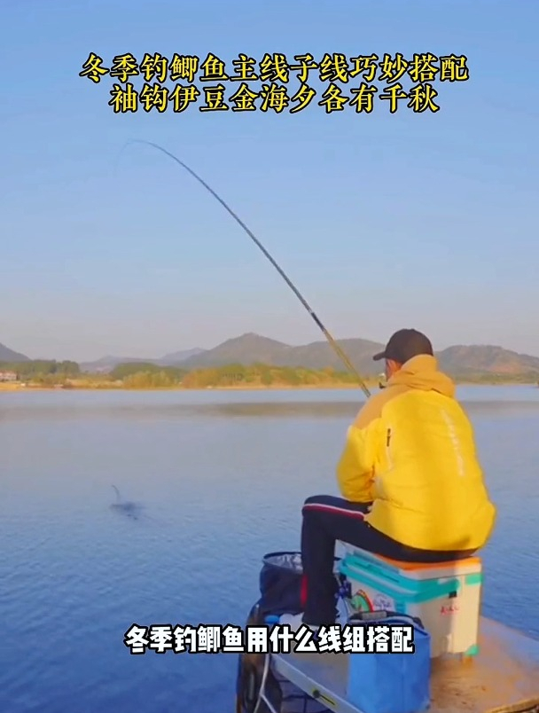 冬季钓鲫鱼线组怎么选?老钓友分享3个搭配方法,看完受益无穷
