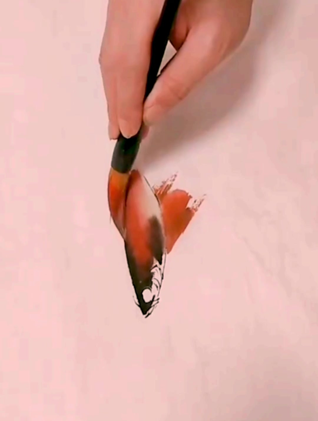 弘扬国画文化,大美孔雀鱼